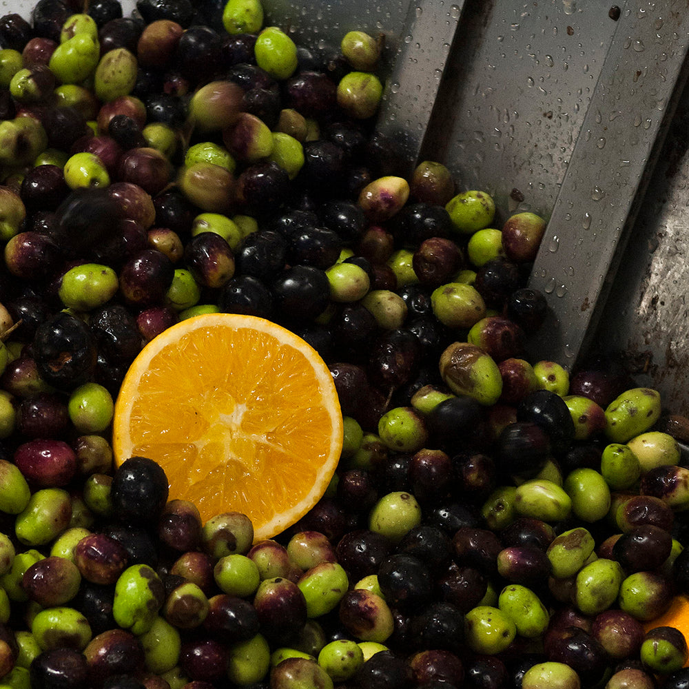 news/staffbloggt_vol-6