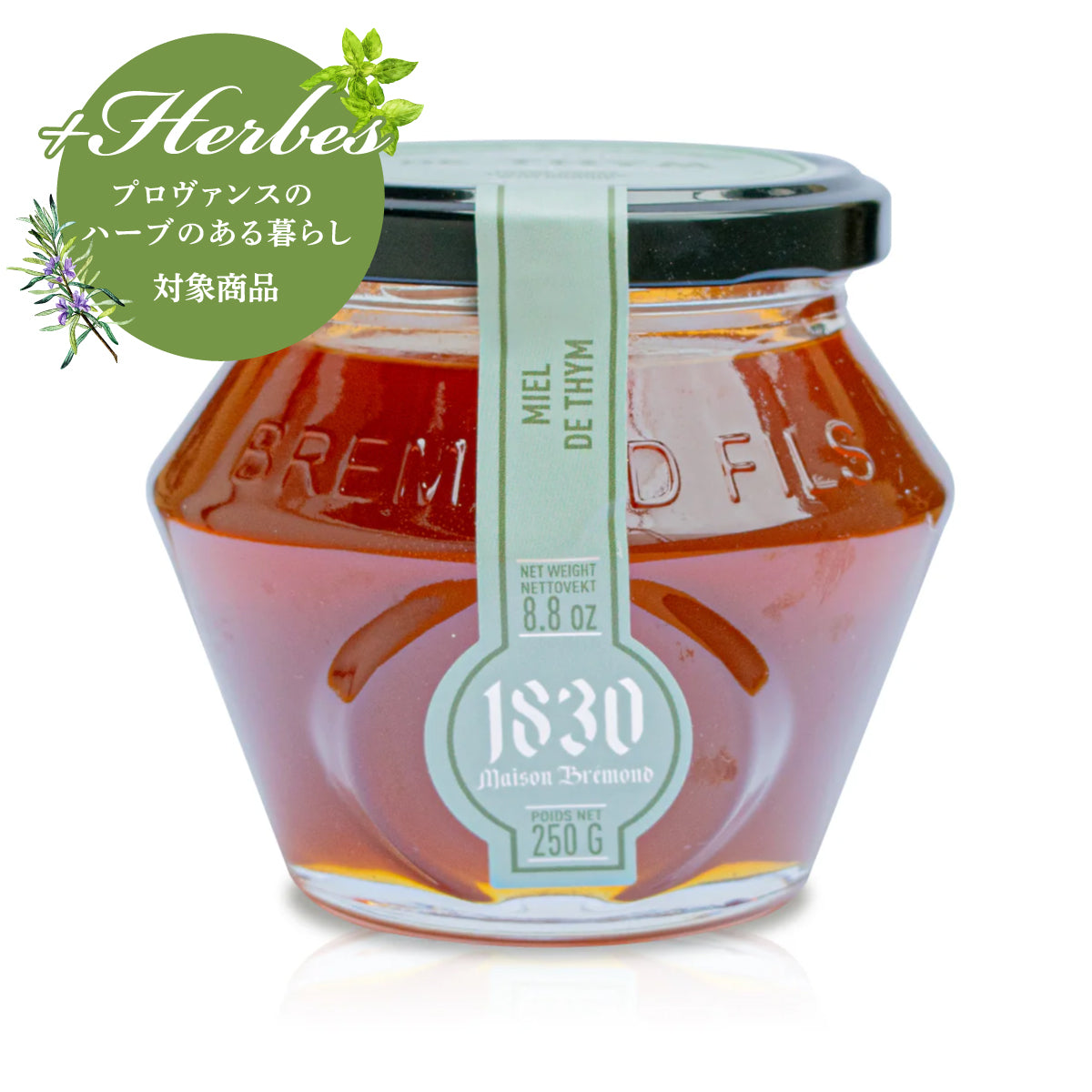 はちみつ スペイン産タイムの花 250g | Maison Bremond 1830